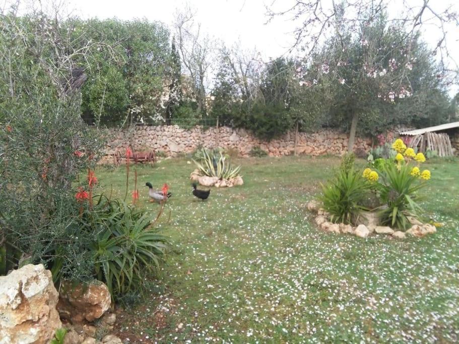 Sa Rota Hébergement de vacances Santa Margarita (Mallorca)