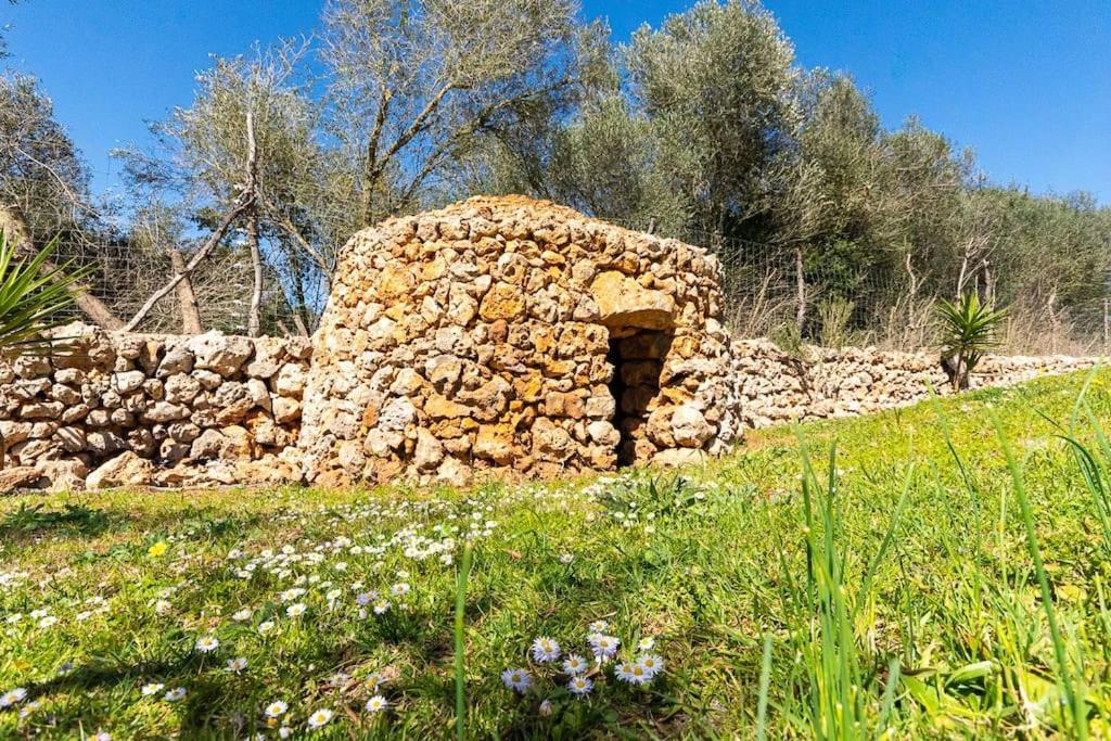 Hébergement de vacances Sa Rota Santa Margarita (Mallorca)